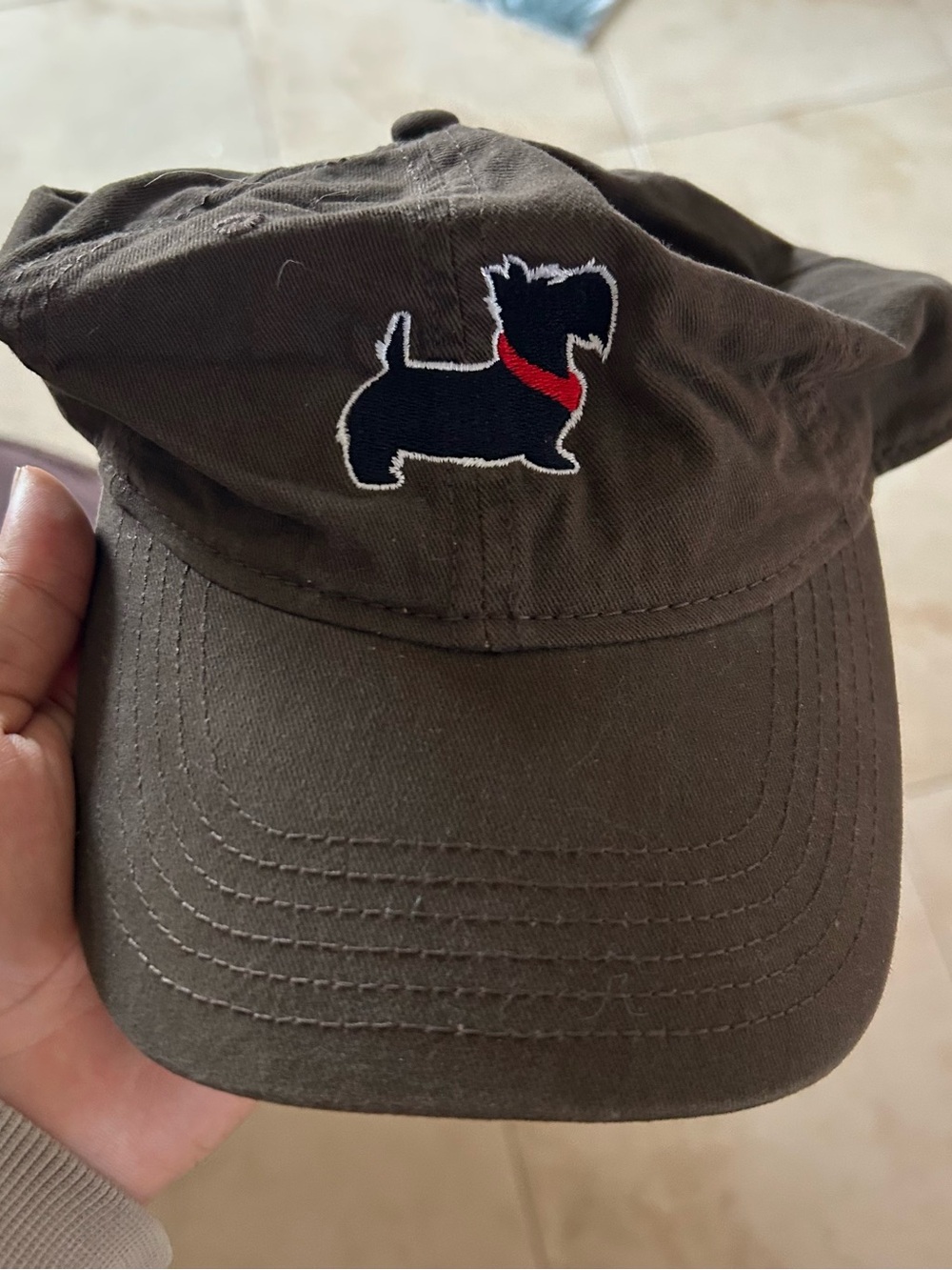 Dog Embroidered Brown Baseball Cap with Red Collar Detail #96